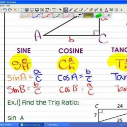 Cna chapter 7 exam answers