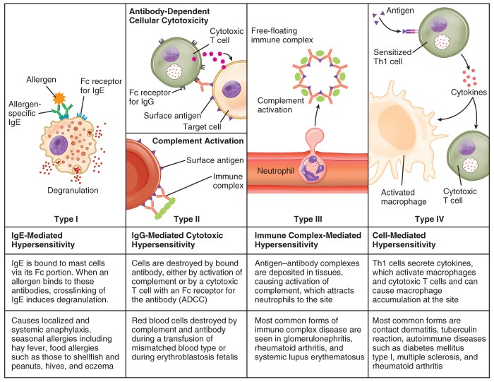 Which of the following statements is not true of antigens